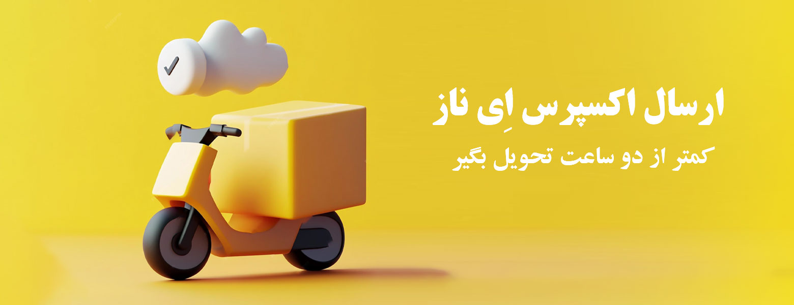 ارسال اکسپرس ای ناز
